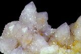 Cactus Quartz (Amethyst) Crystal Cluster - South Africa #180721-2
